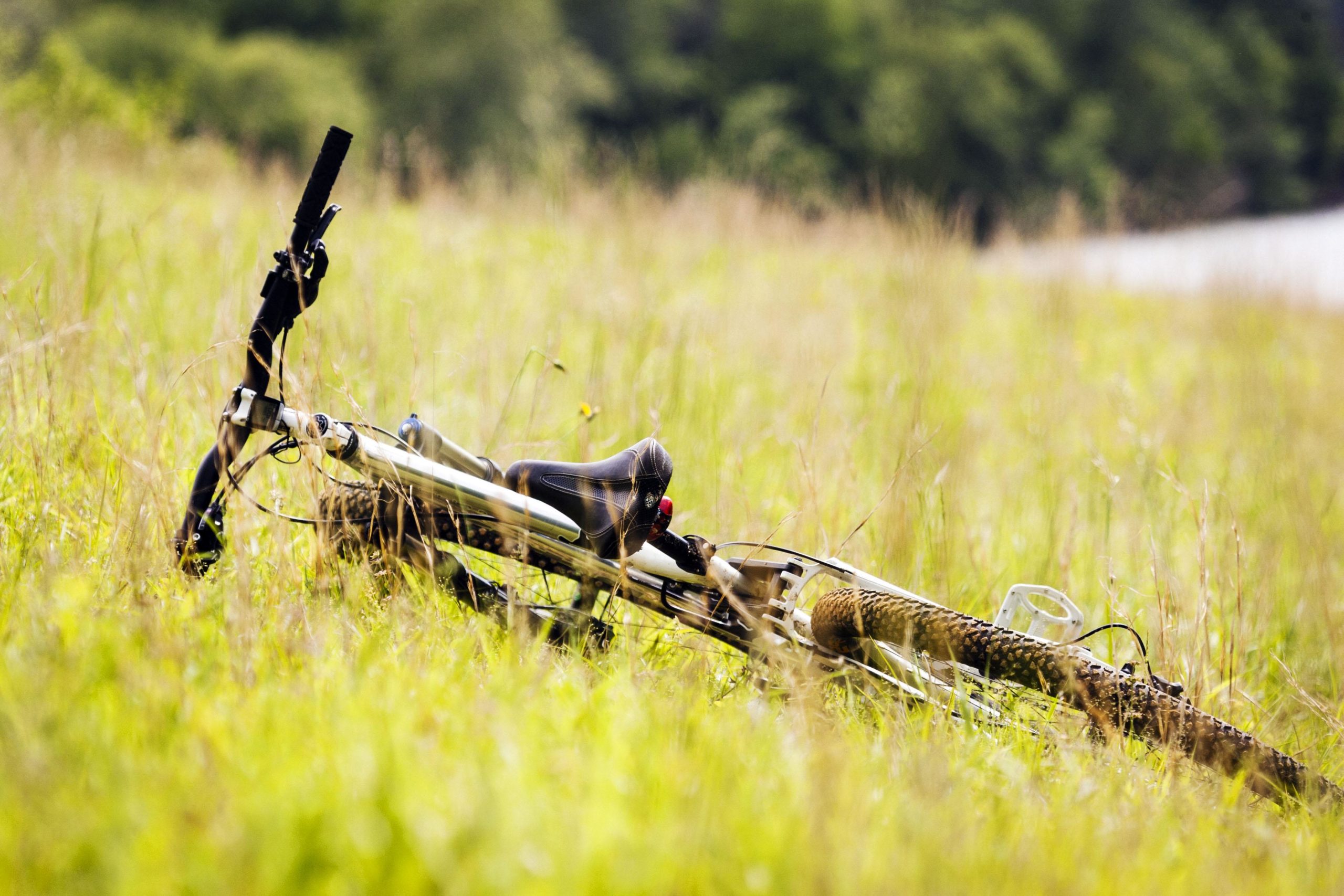 A mountain bike lying on its side in a grassy field, partially obscured by tall grass. The bike features a black seat, handlebars, and a patterned tire, with a natural background of trees and blurred greenery. Warrior Creek mountain bike trail.