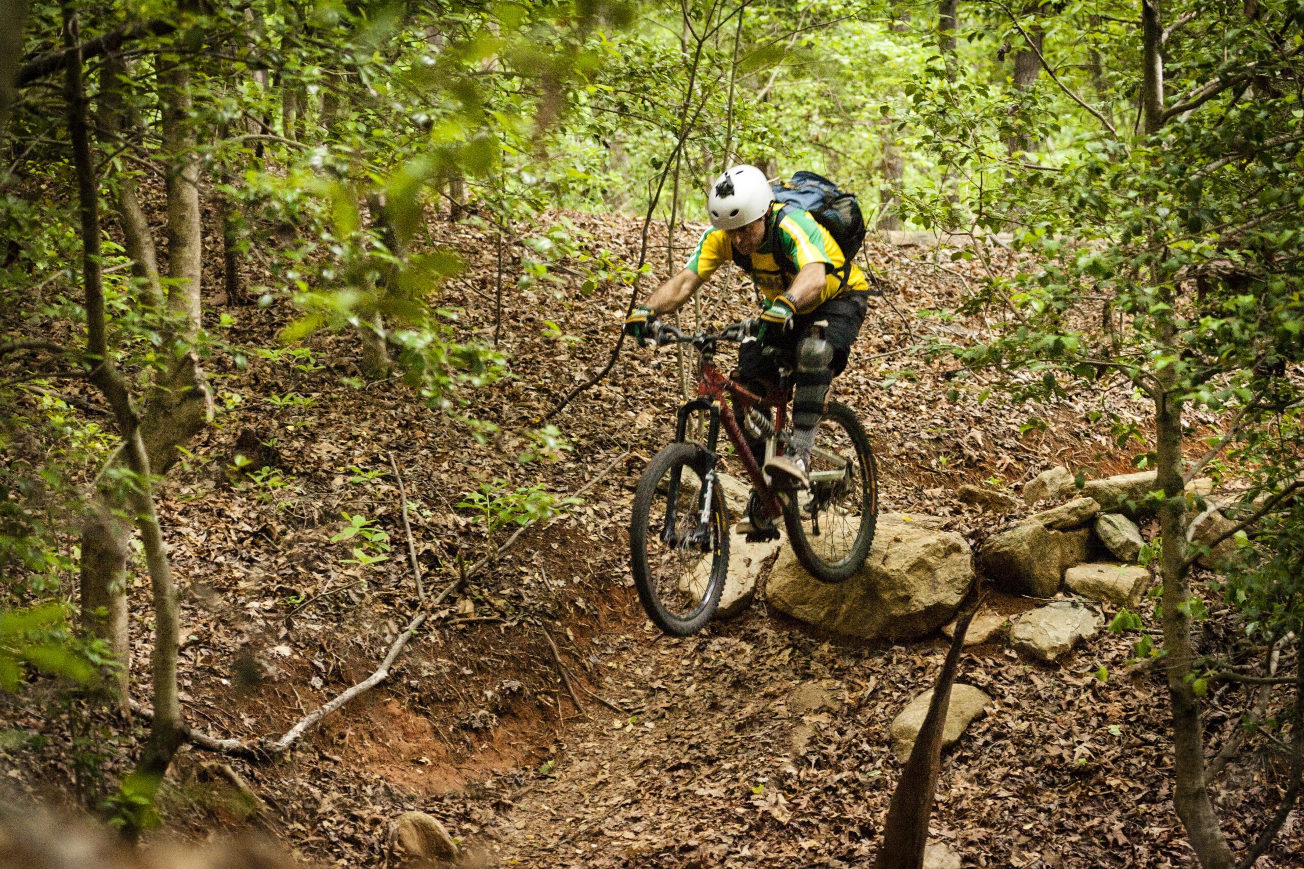 A mountain biker navigates a rocky trail in a dense forest, showcasing skill and concentration as they ride over the terrain. Green foliage and fallen leaves surround the path, highlighting a natural outdoor setting. Warrior Creek mountain bike trail.