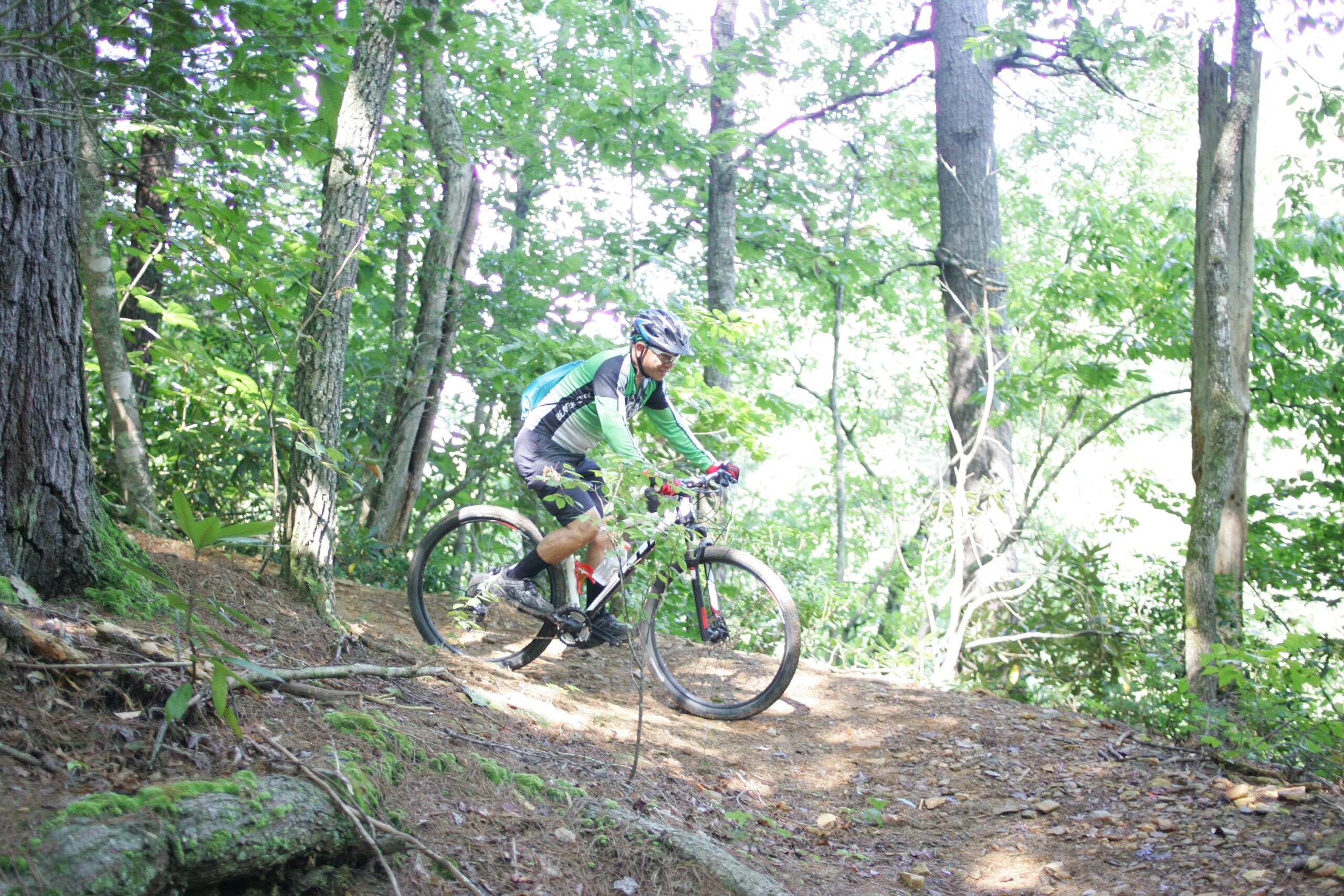 A person riding a mountain bike on a dirt trail surrounded by lush green trees in a forested area. The cyclist is wearing a helmet and a green and black jersey, focusing on navigating the trail. Sunlight filters through the trees, creating a bright and vibrant atmosphere. Dark Mountain Trail mountain bike trail.