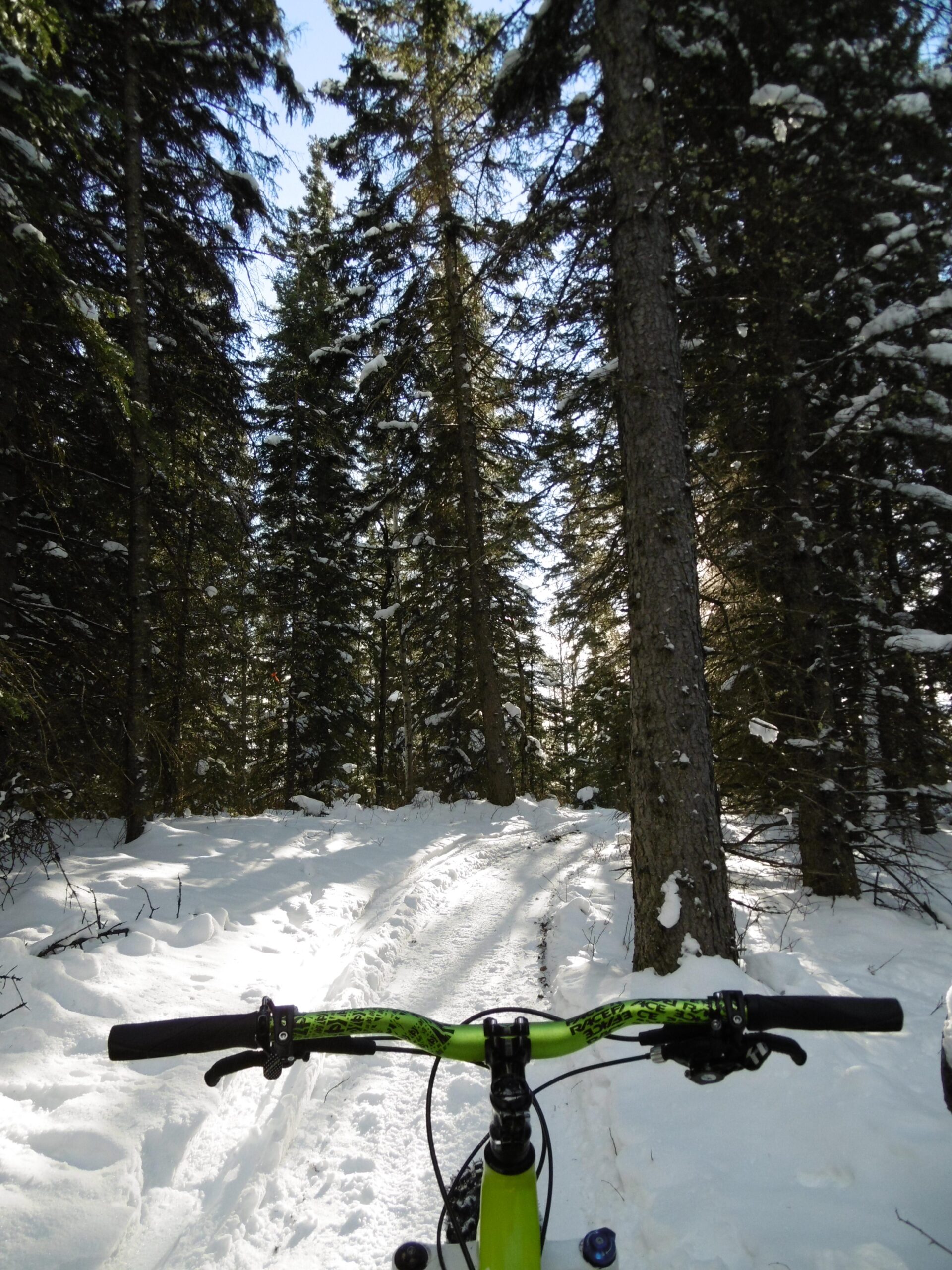 A view from the handlebars of a bright green mountain bike on a snow-covered trail surrounded by tall evergreen trees, with sunlight peeking through the branches and a clear blue sky above. Happy Creek Trail System mountain bike trail.