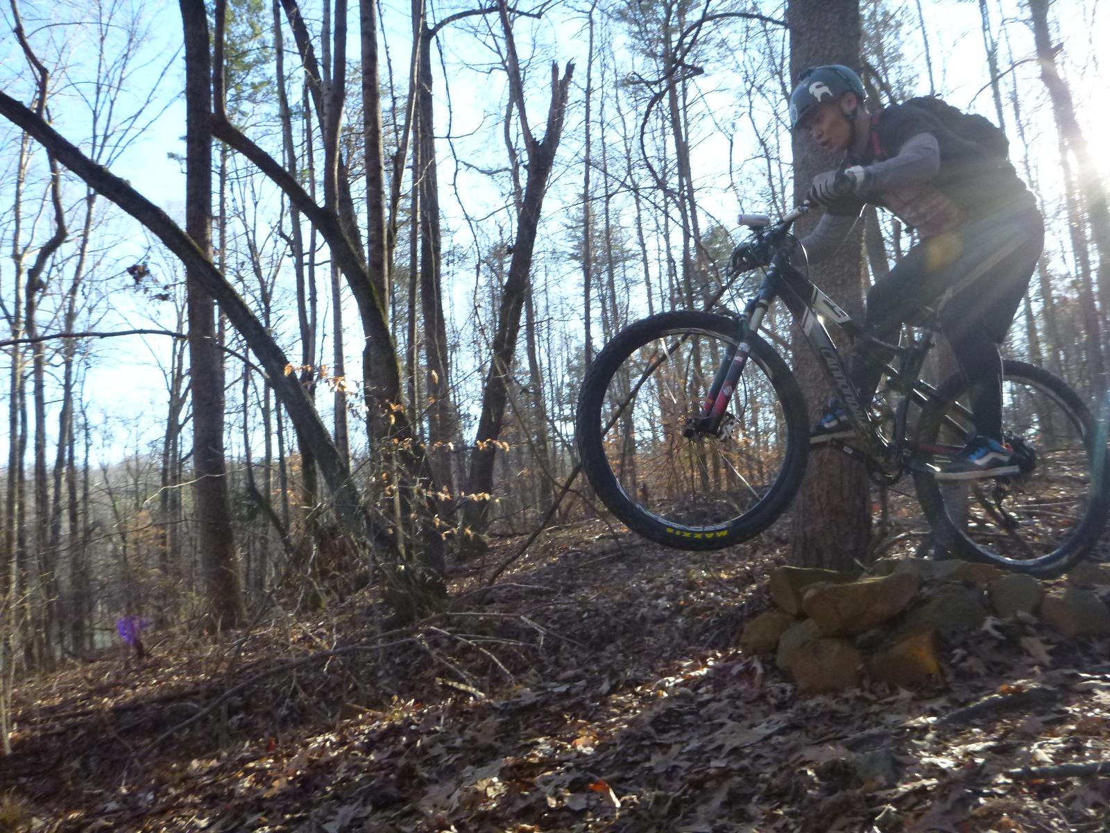 A mountain biker performing a jump over a small rock formation on a forest trail, surrounded by tall trees and autumn leaves. The sun is shining through the trees, creating a bright and dynamic outdoor scene. Salem Lake mountain bike trail.
