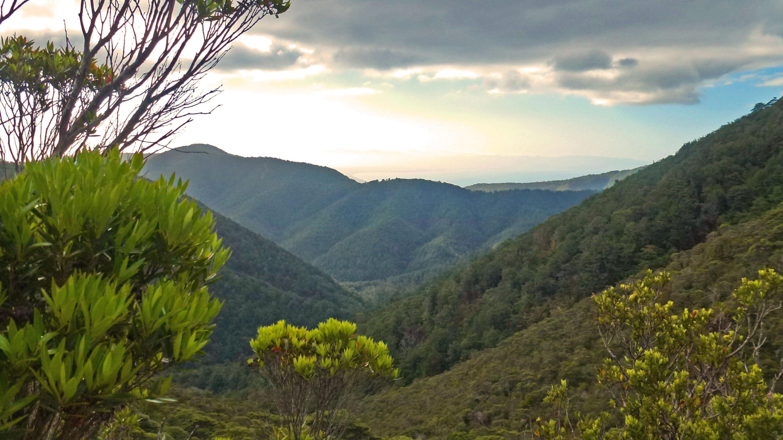 A scenic view of rolling green mountains under a cloudy sky, with lush vegetation in the foreground. The landscape showcases varying shades of green and the distant mountains fade into the horizon. Dun Mountain Trail mountain bike trail.