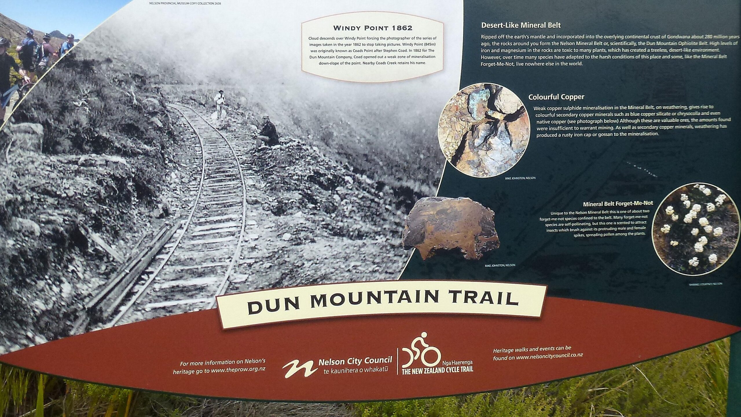 Image of an informational sign for the Dun Mountain Trail featuring historical and geological details. The sign includes a black-and-white photograph of a winding railway track from 1862, along with sections discussing the Desert-Like Mineral Belt, colorful copper minerals, and the unique Forget-Me-Not plant species. The design incorporates images and text, providing historical context and information about the local environment. Dun Mountain Trail mountain bike trail.