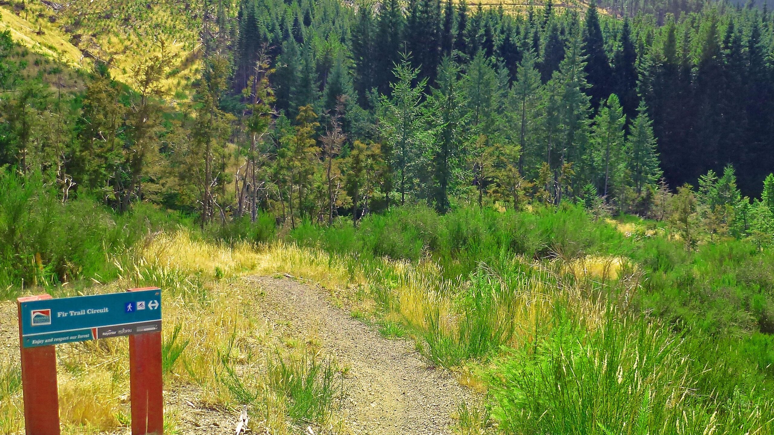 Hanmer Forest Mountain Bike Trail in Hanmer Springs, South Island