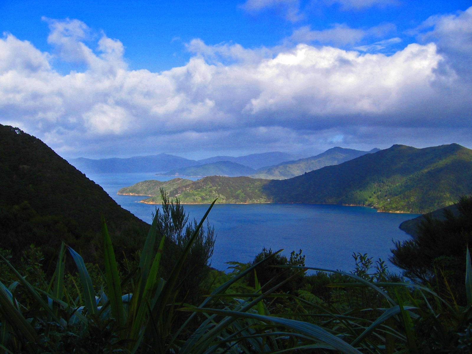 A scenic view of a tranquil bay surrounded by lush green mountains under a partly cloudy blue sky. The water reflects the surrounding landscape, with islands visible in the distance. In the foreground, dense foliage adds a natural element to the serene vista. Queen Charlotte Track mountain bike trail.