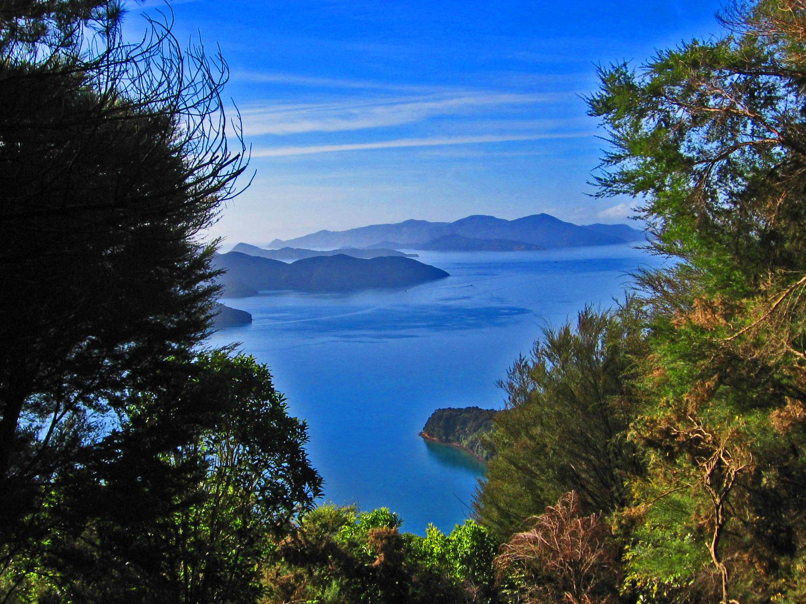 A scenic view of a calm blue bay surrounded by lush green foliage and distant mountains under a clear blue sky. The landscape showcases the tranquility of nature, with the water reflecting the serene surroundings. Queen Charlotte Track mountain bike trail.