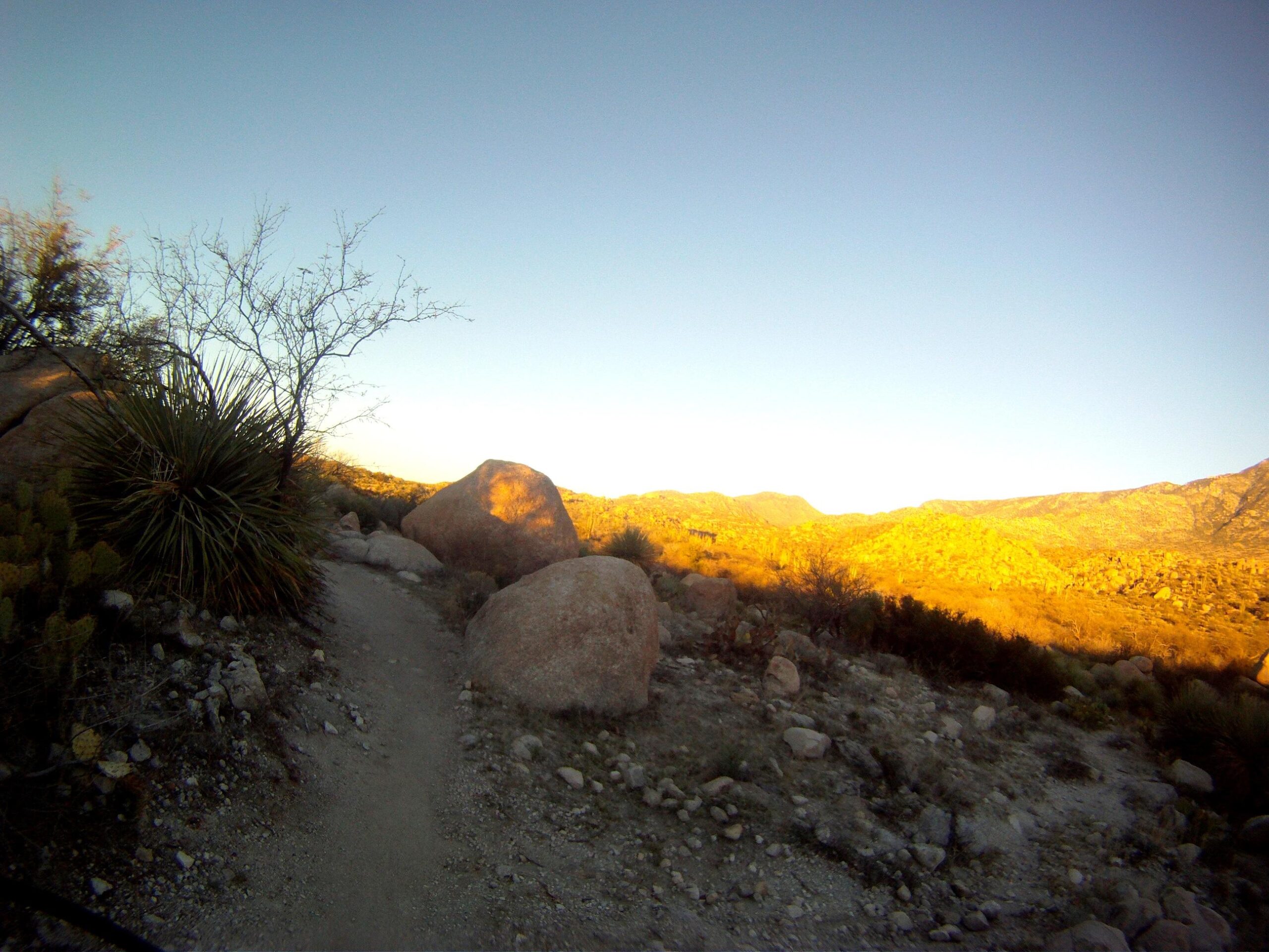 A winding dirt trail surrounded by large rocks and sparse desert vegetation under a clear sky. The sun is low on the horizon, casting a warm golden light over the mountainous landscape in the distance. 50-year Trail / Golder Ranch mountain bike trail.