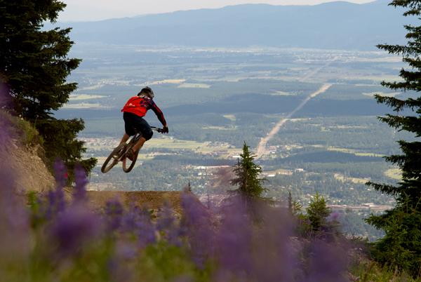 A mountain biker in a red jersey and black shorts performs a jump on a trail surrounded by greenery and wildflowers, with a panoramic view of rolling hills and a valley in the background. Whitefish Mountain Resort mountain bike trail.