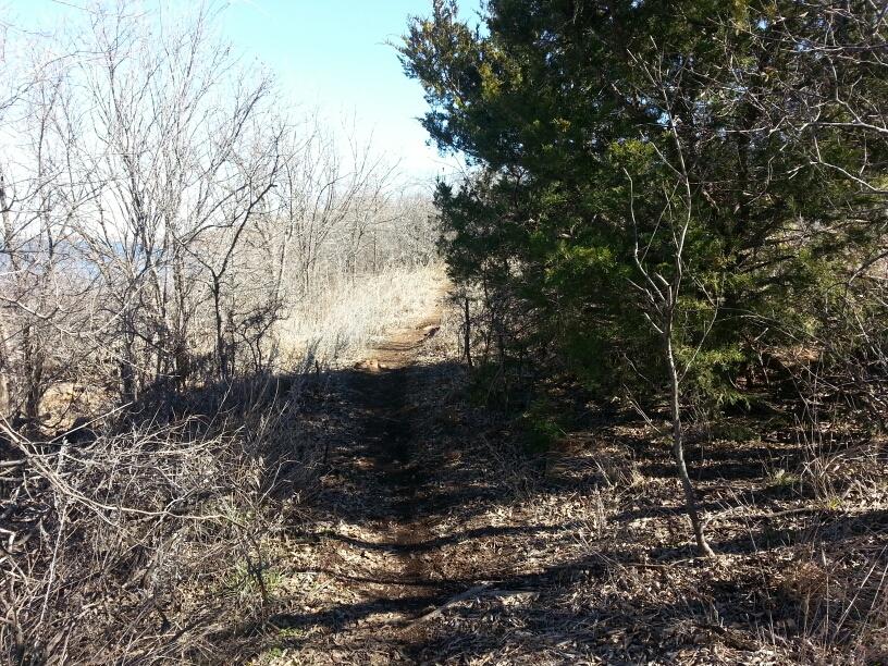 A dirt trail winding through a sparse forest with bare trees and some evergreen shrubs on either side, under a clear blue sky. The path appears lightly worn, suggesting it's been used for walking or hiking. Lake Lawtonka Trails mountain bike trail.