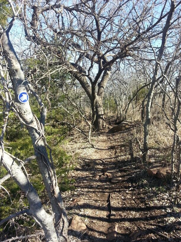 A narrow dirt path winding through a wooded area, flanked by bare trees and dense greenery. A blue directional marker is visible on one of the trees, indicating the route. Sunlight filters through the branches, casting subtle shadows on the ground. Lake Lawtonka Trails mountain bike trail.