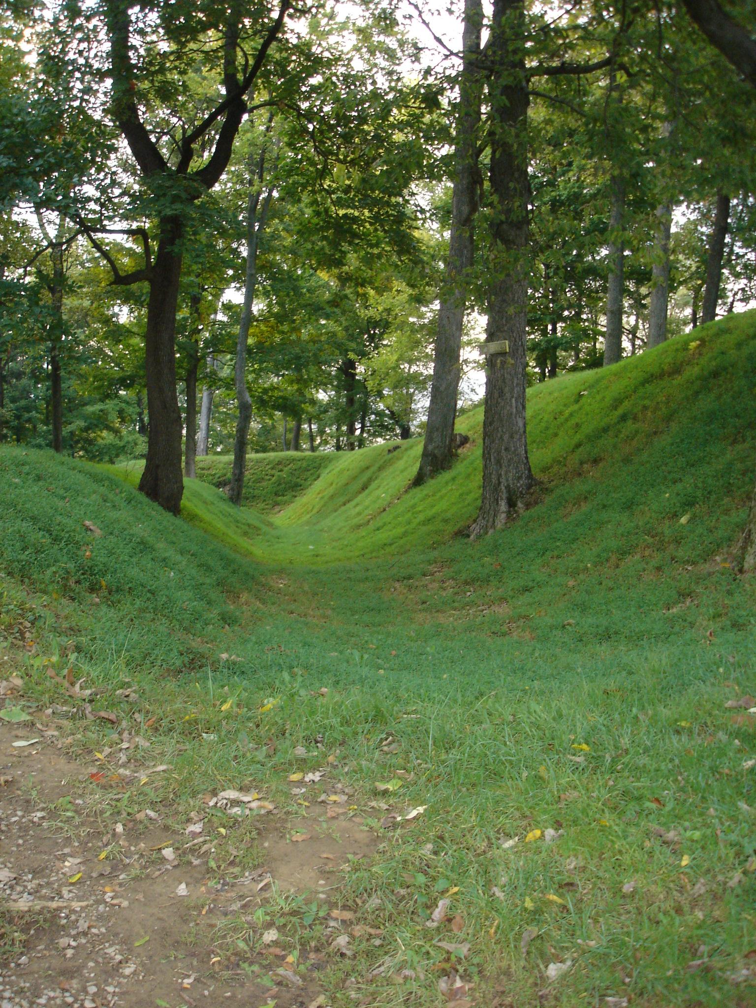 A serene landscape featuring a grassy, sloping pathway flanked by trees on either side. The ground is covered in lush green grass, with hints of fallen leaves, creating a tranquil natural setting. The scene captures the essence of a quiet trail winding through the woods. Fort Duffield mountain bike trail.