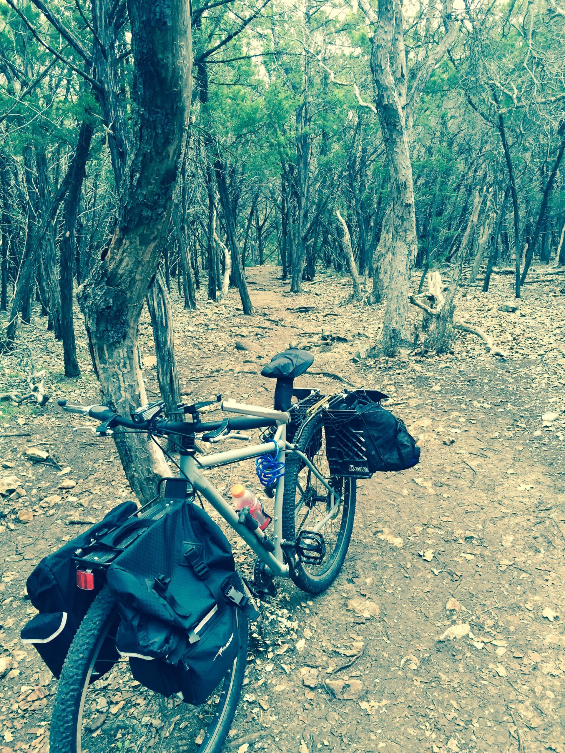 A bicycle parked on a dirt trail surrounded by trees and foliage. The bike has two black pannier bags attached, a water bottle, and a small basket on the back. The scene depicts a quiet, wooded area ideal for cycling or exploring nature. Goodwater Trail mountain bike trail.