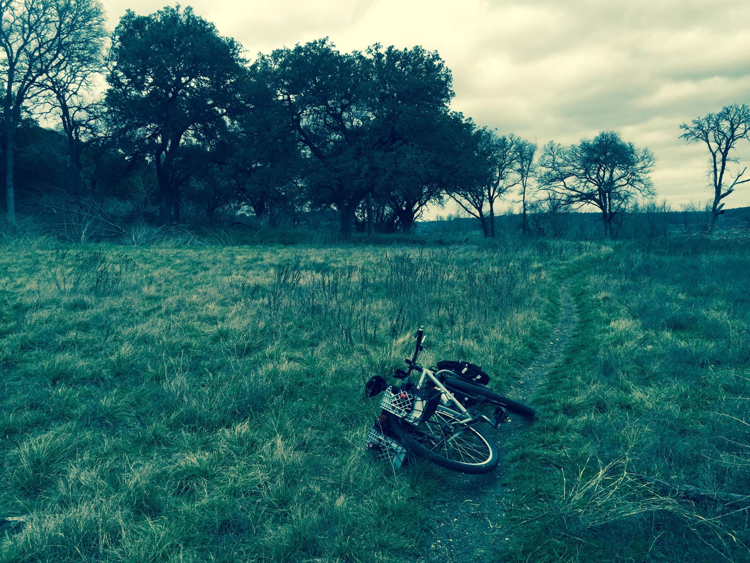A mountain bike lies on its side in a grassy field, with a dirt trail winding through the scene. The background features a cluster of trees under a cloudy sky, creating a serene yet slightly overcast atmosphere. Goodwater Trail mountain bike trail.