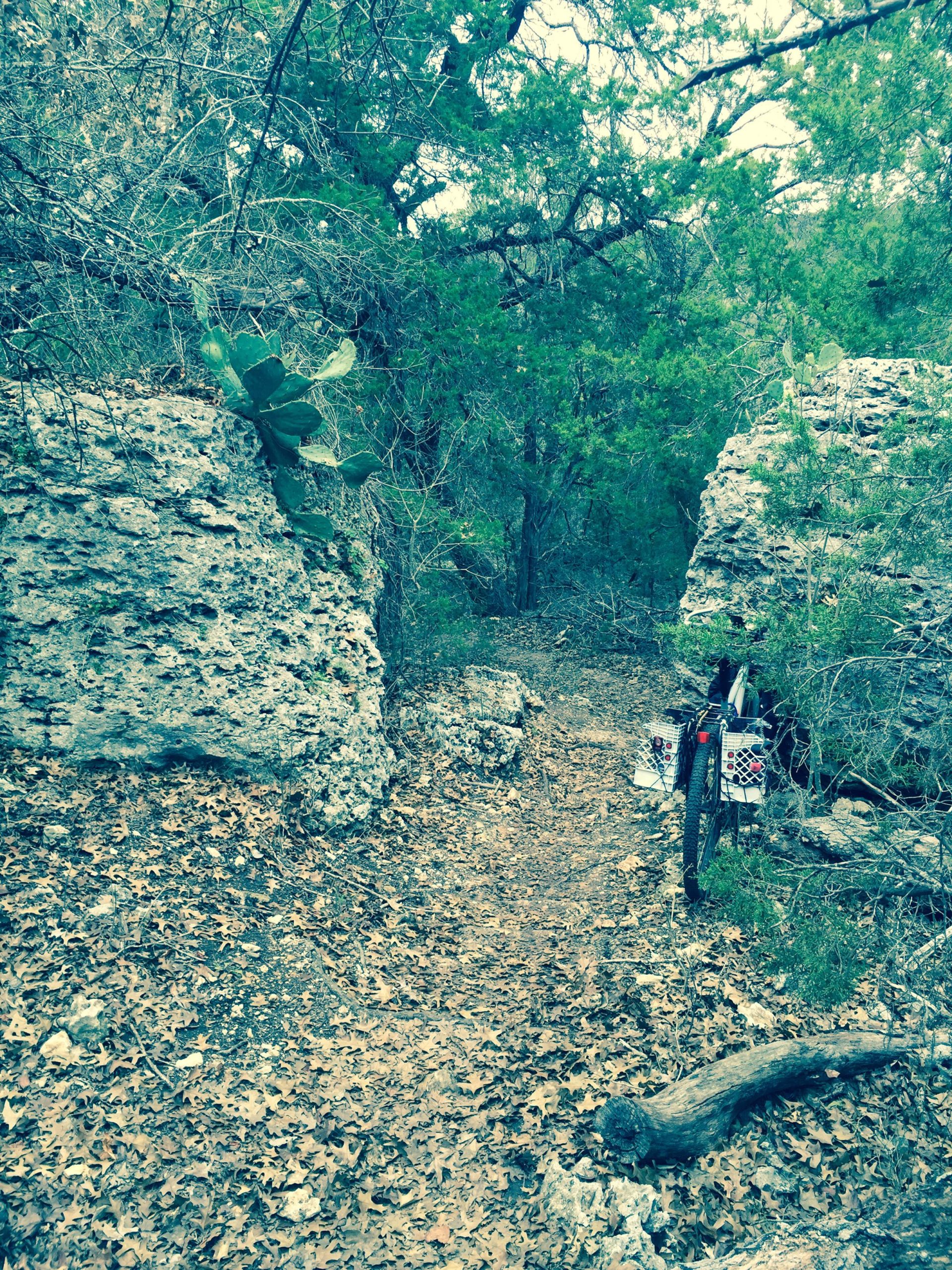 A narrow, winding trail surrounded by rocky outcrops and dense greenery. The ground is covered with dried leaves, and a bicycle is leaning against a rock on the right side of the path. Cacti and shrubs are visible among the trees on either side. Goodwater Trail mountain bike trail.