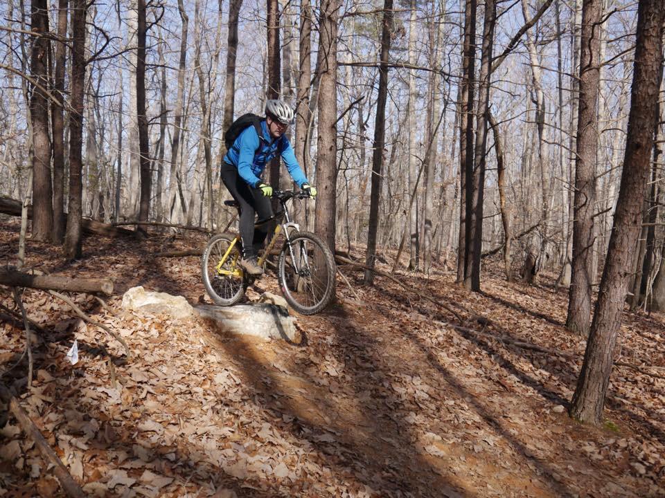 A cyclist in a blue jacket and helmet rides their mountain bike over a rocky ledge on a forested trail covered with fallen leaves. The surrounding trees are bare, indicating winter or early spring. Sunlight filters through the branches, casting shadows on the ground. Fountainhead Regional Park mountain bike trail.