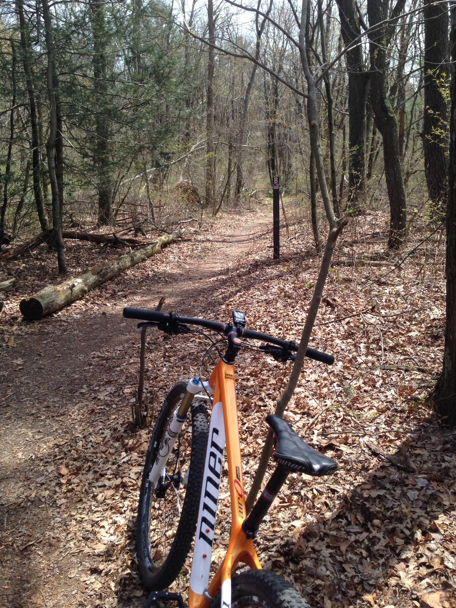 Niner Air 9 Carbon: A mountain bike resting on a dirt trail surrounded by trees, with fallen leaves covering the ground. A signpost marked with the letter 'B' is visible in the background, indicating a trail marker in a wooded area on a sunny day.