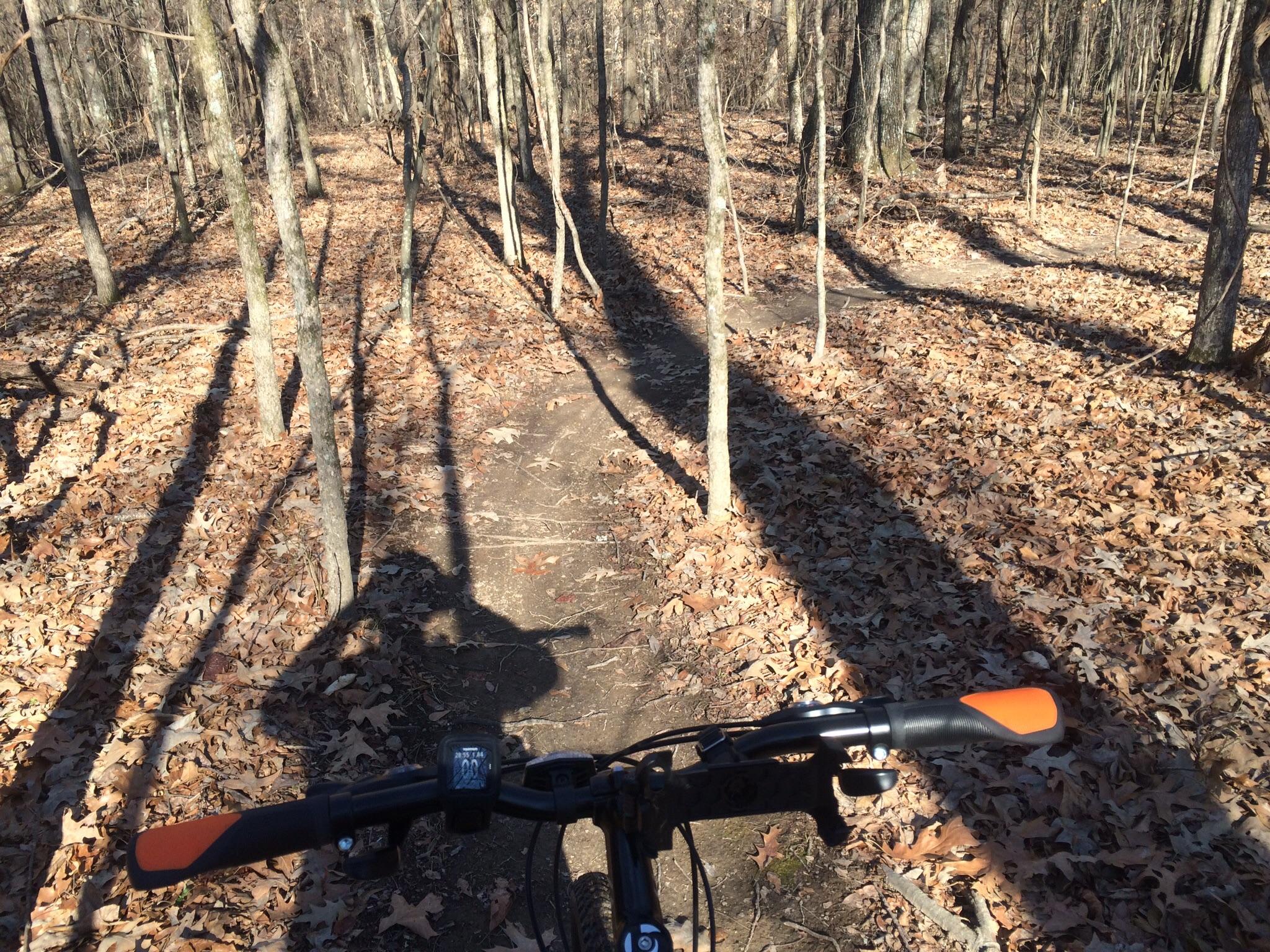A view of a dirt bike trail winding through a wooded area, with bare trees and fallen leaves covering the ground. The handlebars of a mountain bike are visible in the foreground, casting a shadow on the path. Sunlight filters through the trees, creating a natural and serene atmosphere.