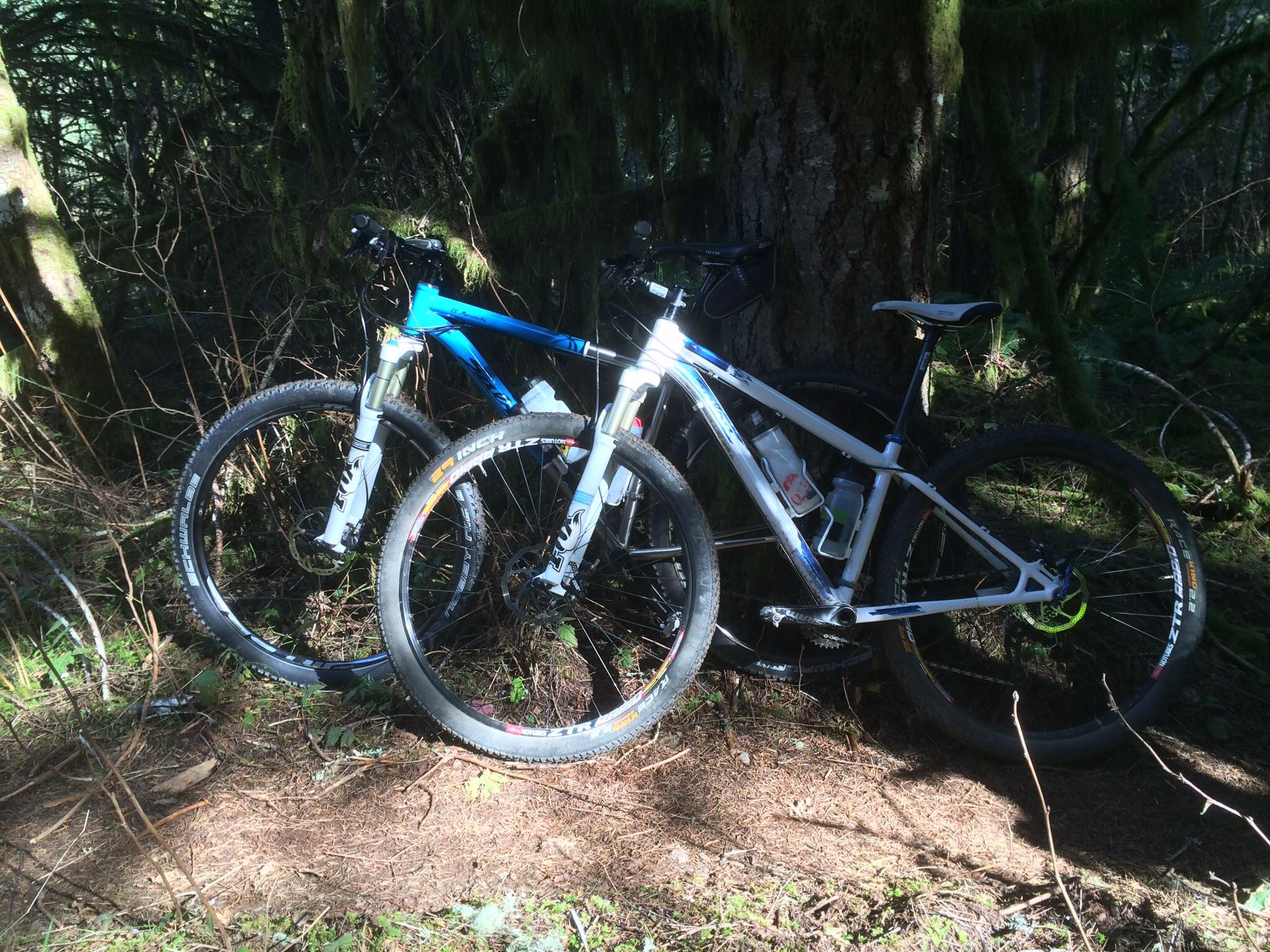 Two mountain bikes, one blue and one white, leaning against a tree in a forested area with sunlight filtering through the trees. The ground is covered in pine needles and small plants. Whypass mountain bike trail.