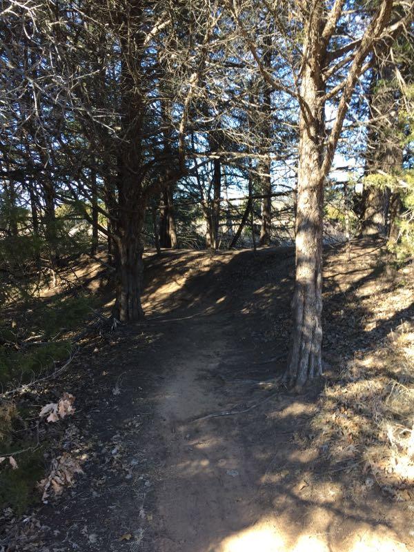 A dirt path winding through a wooded area, lined by tall trees with some bare branches. Sunlight filters through the trees, casting shadows on the ground. The scene appears tranquil and inviting for a nature walk. McMurtry Trail mountain bike trail.