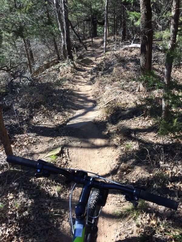 A mountain bike’s handlebars are in the foreground, looking down a narrow dirt trail winding through a forest with trees and scattered leaves on the ground. The sun casts shadows along the path, indicating a clear, sunny day. McMurtry Trail mountain bike trail.