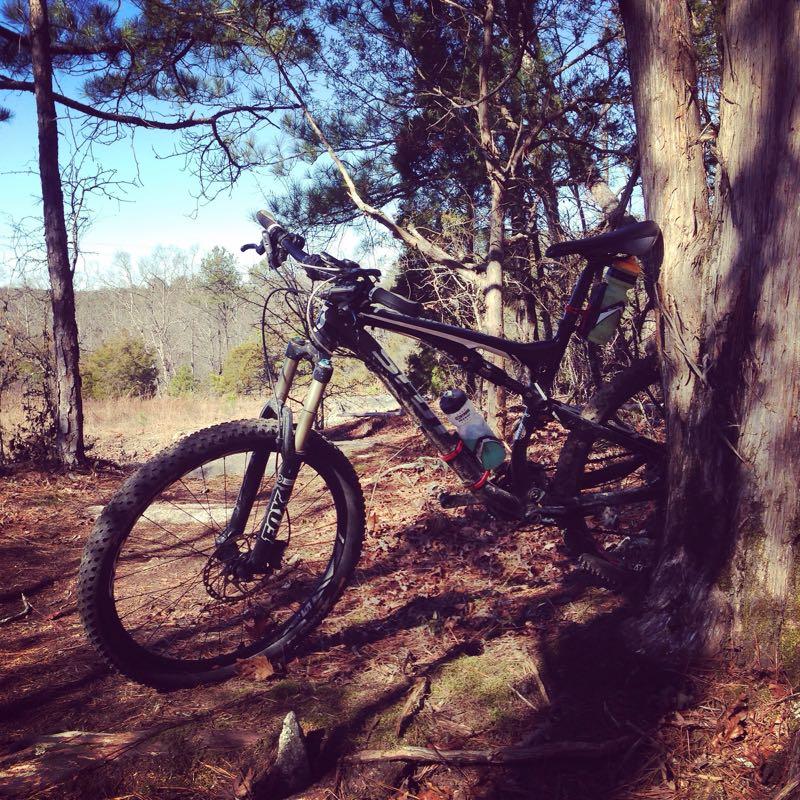 A mountain bike resting against a tree on a forest trail, surrounded by pine trees and fallen leaves, with a clear blue sky visible in the background. A water bottle is attached to the bike's frame. Clinton Nature Preserve mountain bike trail.