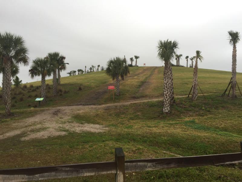 A grassy hill lined with palm trees under a cloudy sky. A dirt path leads up the hill, with signs visible along the way. A wooden fence borders the foreground. The Celery Fields mountain bike trail.