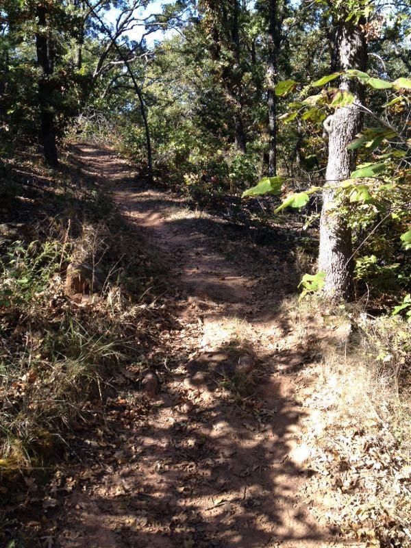 A dirt path winding through a wooded area with trees on either side, featuring patches of sunlight filtering through the leaves. The ground is covered with fallen leaves and grass, indicating an autumn setting. Thunderbird Lake Clear Bay mountain bike trail.