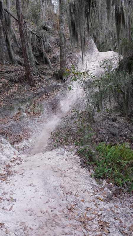 A winding dirt path through a forested area, flanked by trees with hanging moss. The trail appears worn and is surrounded by fallen leaves and underbrush. Alafia River State Park mountain bike trail.