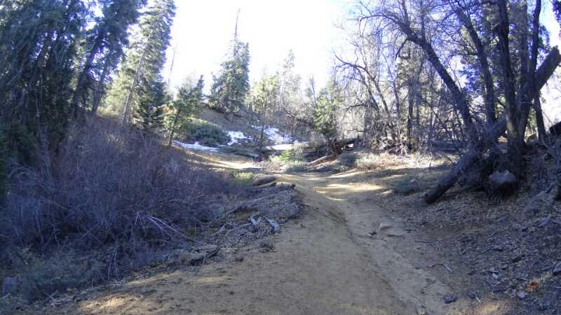 A dirt path winding through a wooded area with trees on either side, some with sparse foliage. The ground is uneven, with patches of rocky soil and fallen branches, and remnants of snow can be seen in the background. Sunlight filters through the trees, illuminating the serene landscape. Pine Knot Trail mountain bike trail.