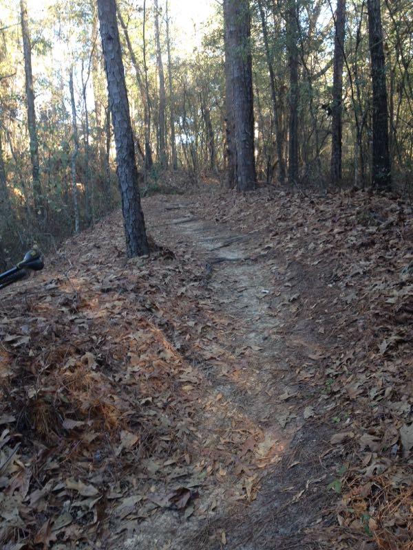 A winding dirt path through a wooded area, surrounded by tall trees and scattered fallen leaves on the ground. The light filters through the foliage, creating a serene atmosphere. Fort Benning MTB Trail mountain bike trail.