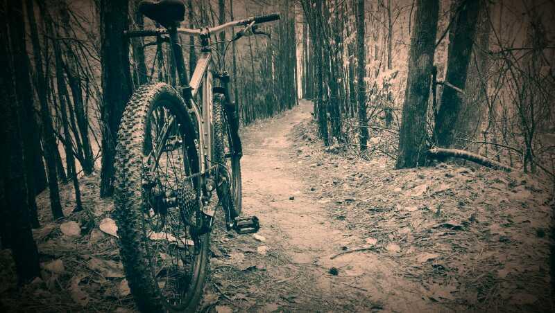 A mountain bike leaning against a tree on a narrow, wooded trail covered with fallen leaves. The scene is presented in a monochrome filter, highlighting the texture of the bike and the surrounding trees. Big Creek mountain bike trail.