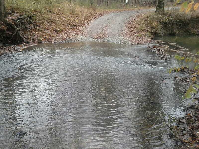 A gravel road crossing a shallow waterway, surrounded by trees and foliage in a wooded area. The water has a rippling surface and fallen leaves are visible along the edges. Piedmont National Wildlife Refuge mountain bike trail.