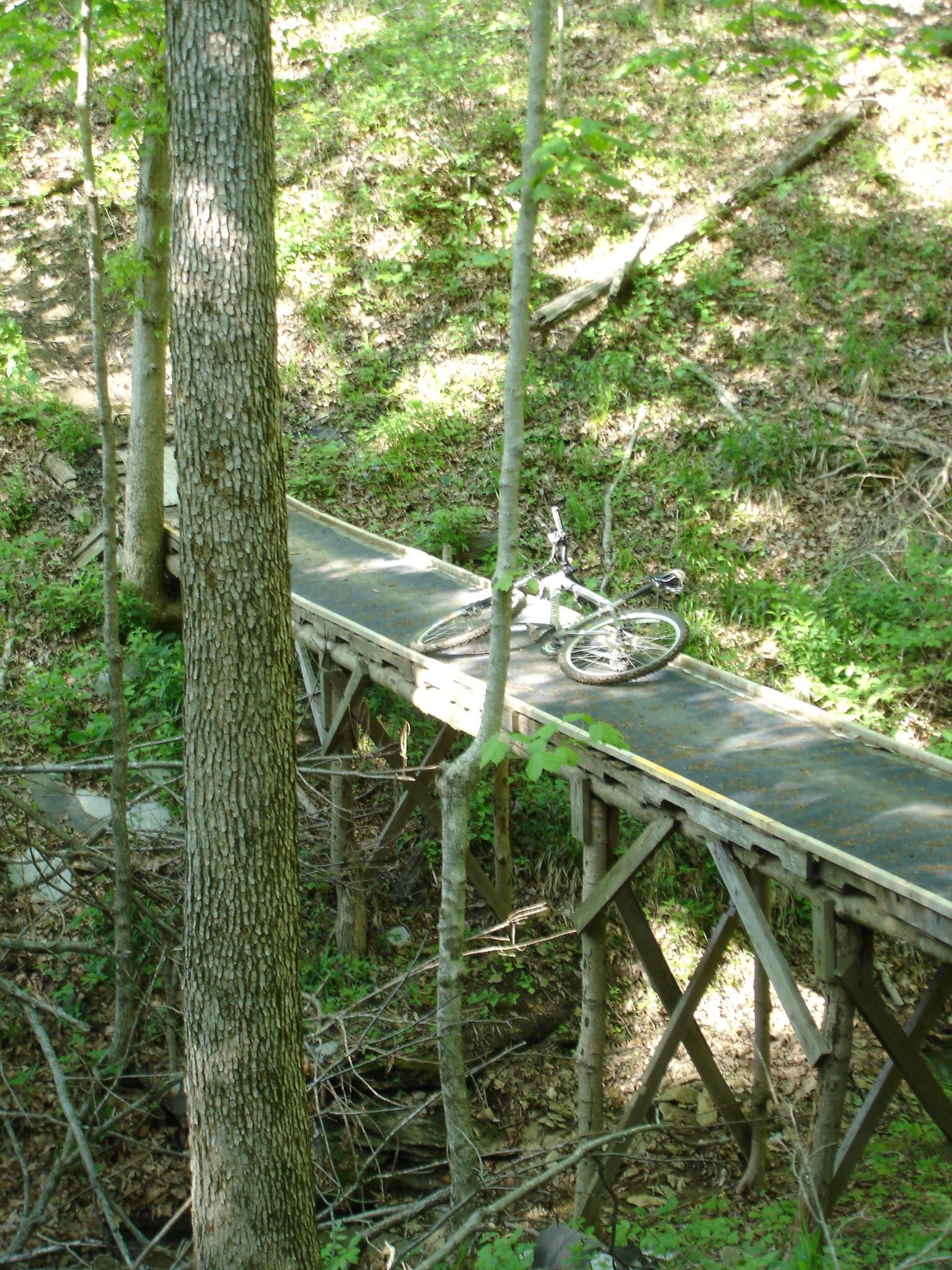 A mountain bike resting on a wooden bridge surrounded by greenery in a forested area. Sunlight filters through the leaves, illuminating the path and the surrounding trees. Youngers Creek mountain bike trail.