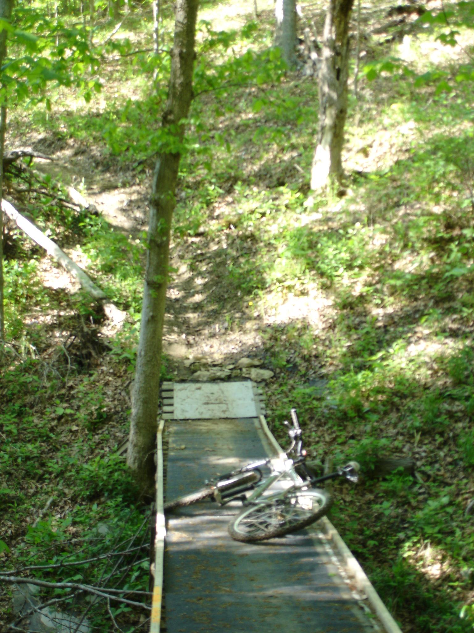 A mountain bike resting on a narrow wooden bridge in a wooded area, surrounded by green foliage and trees. The path in the background slopes gently upward, indicating a trail for outdoor activities. Youngers Creek mountain bike trail.
