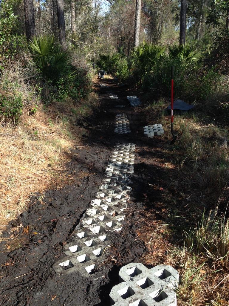 A narrow dirt path in a wooded area, featuring concrete paver blocks laid out to form a walkway. Surrounding vegetation includes bushes and palm-like plants, with patches of mud visible alongside the path. A shovel and other tools can be seen nearby. Nocatee mountain bike trail.