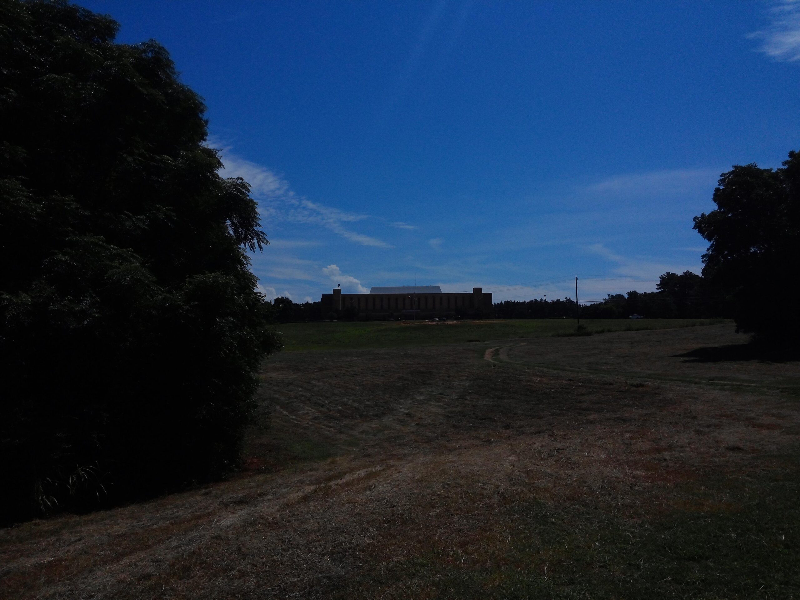 A sunny landscape featuring a wide, grassy field with a dirt path winding through it. In the background, a large building is partially visible against a bright blue sky with a few scattered clouds. The scene is bordered by trees on the left and right sides, adding a natural context to the environment. Selma Erwin Nature Trail mountain bike trail.