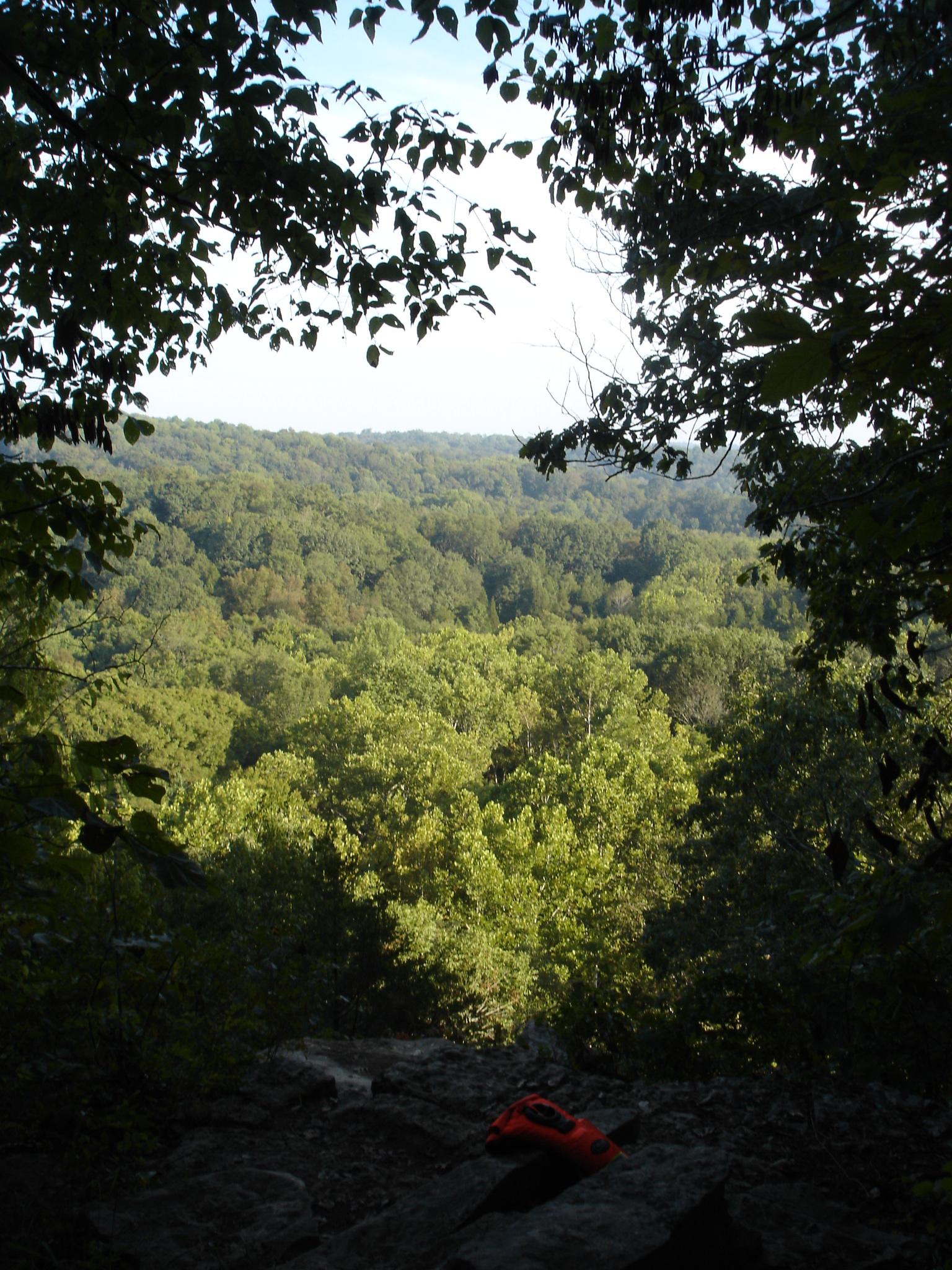 A scenic view of a lush green forest from a rocky outcrop, framed by overhanging leaves. In the foreground, a bright orange object rests on the ground, contrasting against the natural backdrop. The horizon features a rolling landscape of trees under a clear blue sky. Otter Creek mountain bike trail.