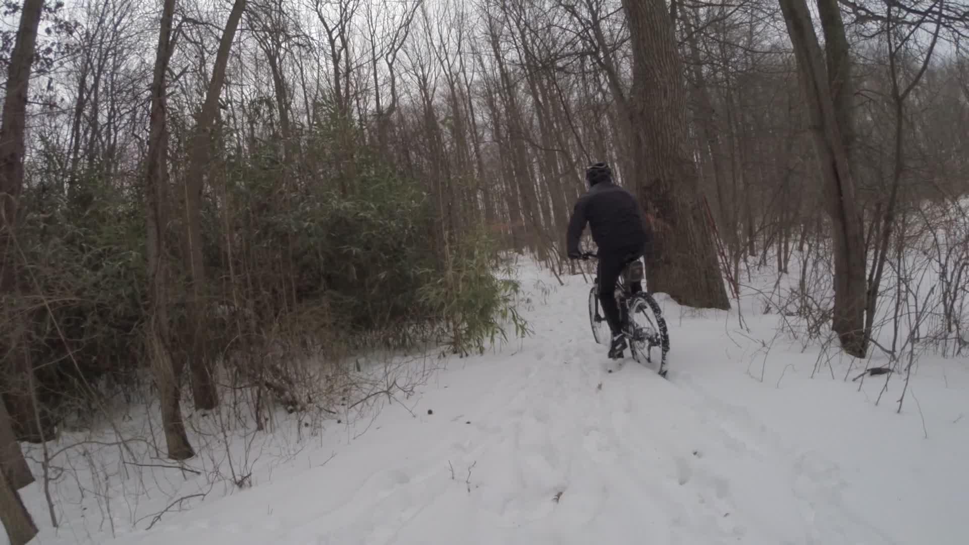 A person riding a mountain bike through a snowy forest trail, surrounded by bare trees and patches of greenery. The scene depicts a wintry landscape with fresh snow covering the ground and the cyclist navigating the rugged terrain. Wolfes Pond park mountain bike trail.