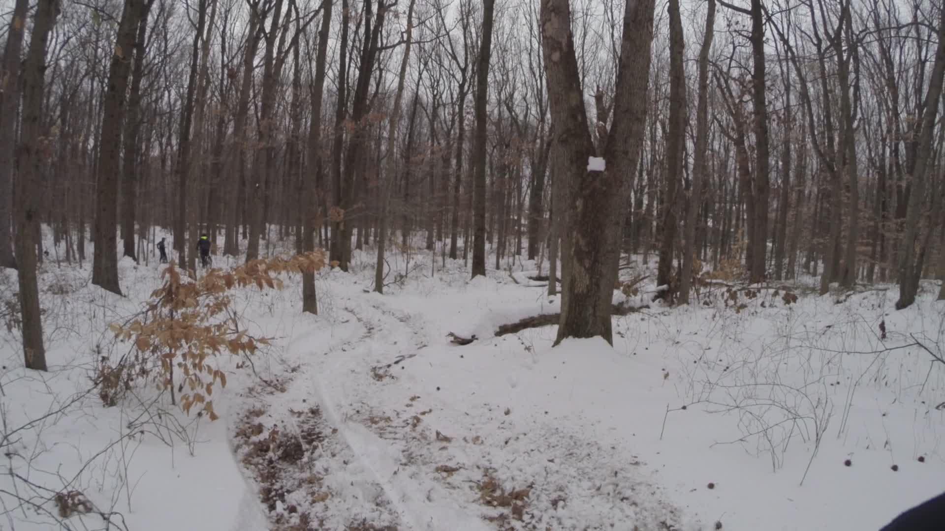 A snow-covered forest scene featuring bare trees and a winding trail. Two figures are visible in the distance along the path, surrounded by a tranquil winter landscape. Trails seperated by streets mountain bike trail.