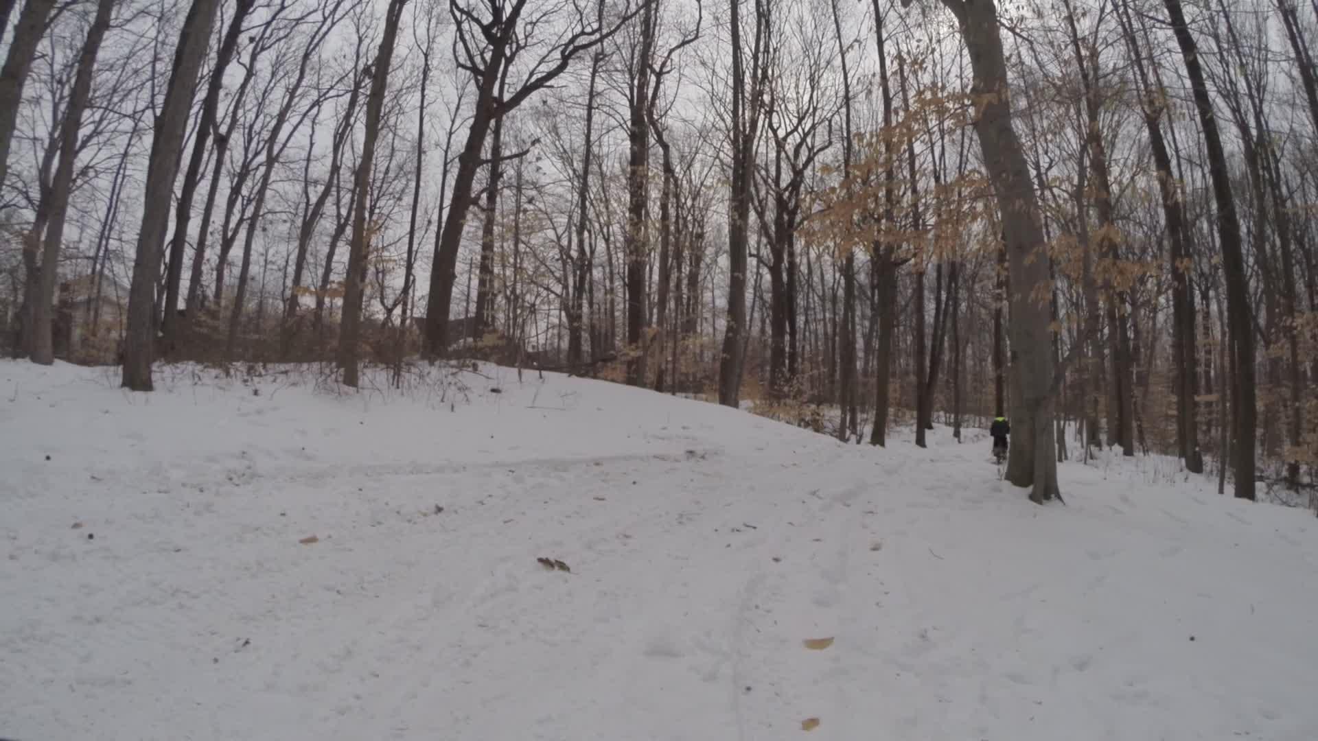 A snowy landscape featuring bare trees in a forest. A small hill covered in snow is visible, with a path winding through the forest. A figure dressed in dark clothing can be seen biking along the trail. The scene is overcast, creating a calm and serene winter atmosphere. Trails seperated by streets mountain bike trail.