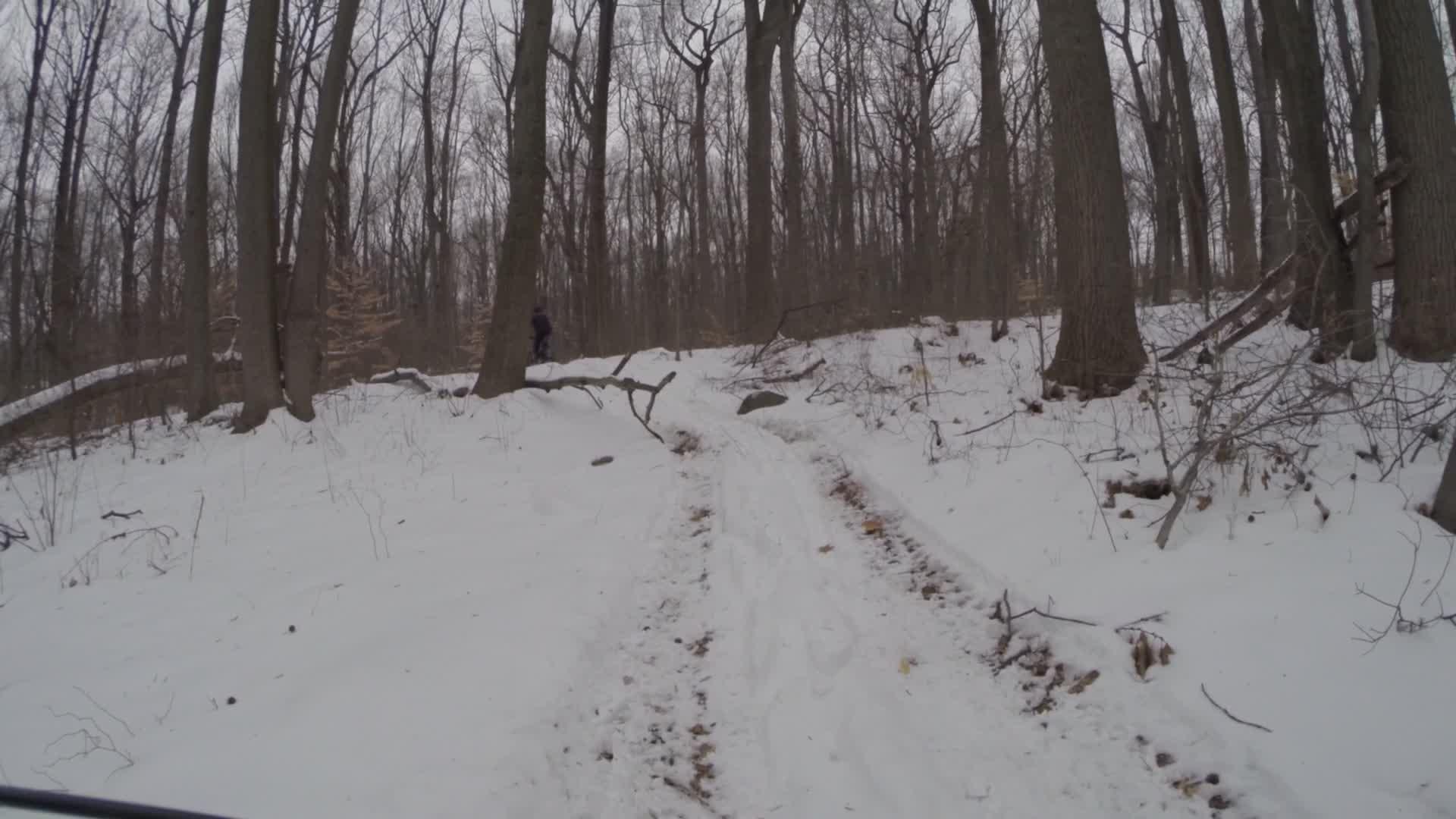 A snowy trail winding through a forest, lined with tall, bare trees. The ground is covered in a fresh layer of snow, and faint tracks are visible along the path. A person in dark clothing can be seen walking on the trail in the distance. Trails seperated by streets mountain bike trail.