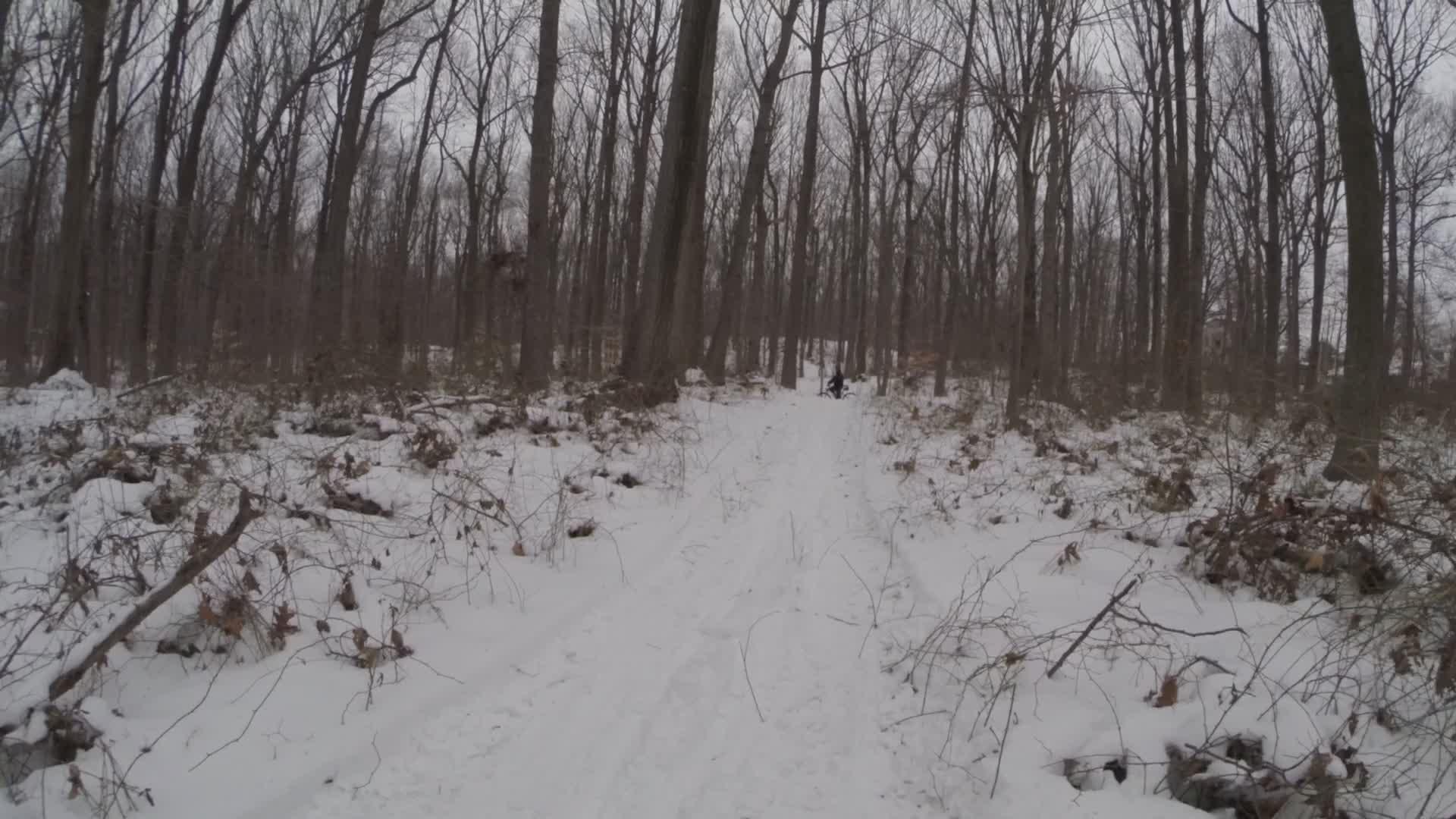 A snow-covered trail winding through a forest with bare trees and scattered branches. The path is surrounded by a blanket of snow, indicating winter conditions. In the distance, there is a figure partially visible, possibly engaging in an outdoor activity. The atmosphere conveys a serene, wintry landscape. Trails seperated by streets mountain bike trail.