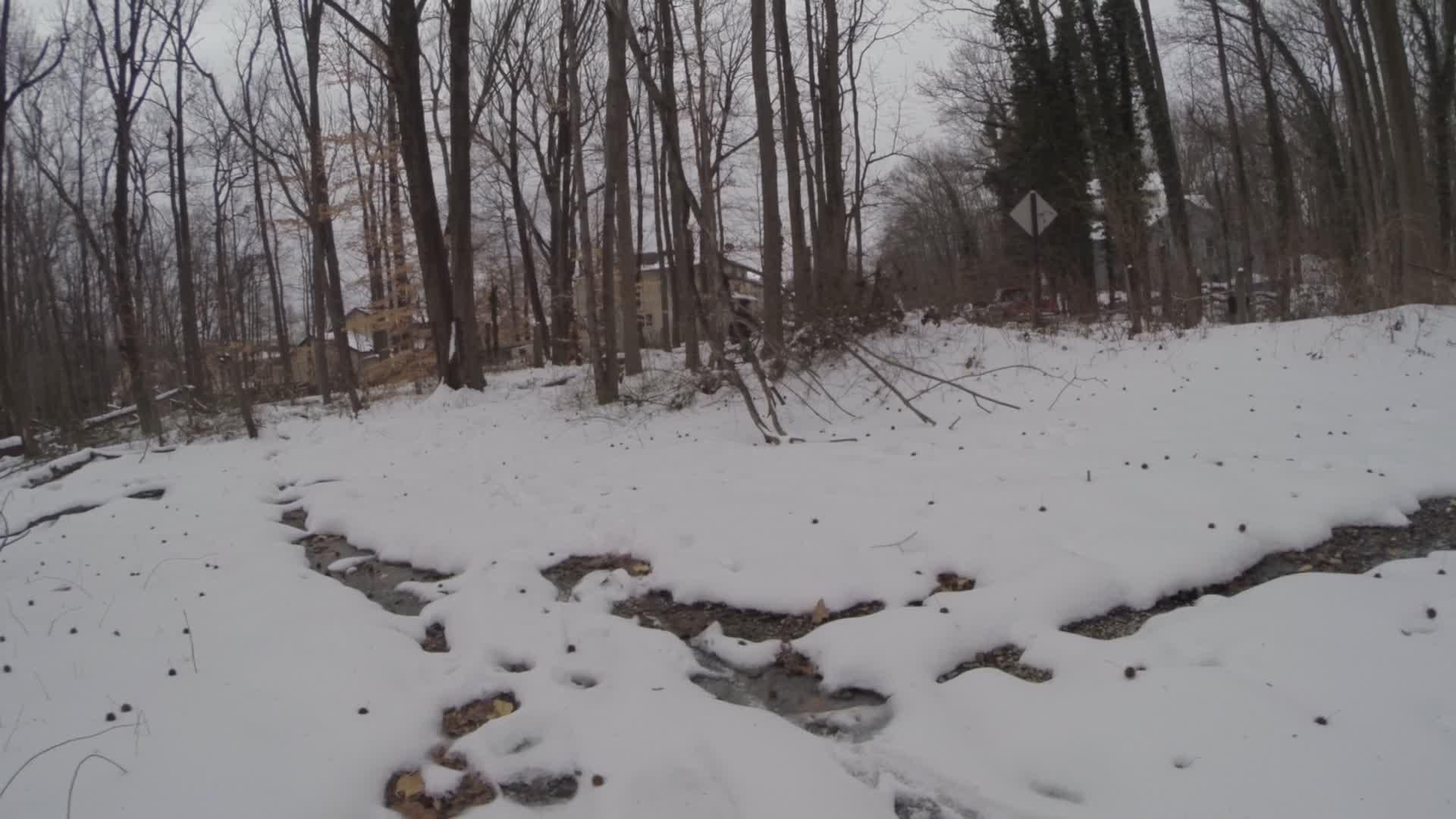 A snowy landscape featuring a small stream flowing through a forest. Bare trees surround the area, with a house visible in the background. The ground is covered in a blanket of snow, and there are visible footprints leading to the stream. The scene is set on a cloudy winter day. Trails seperated by streets mountain bike trail.