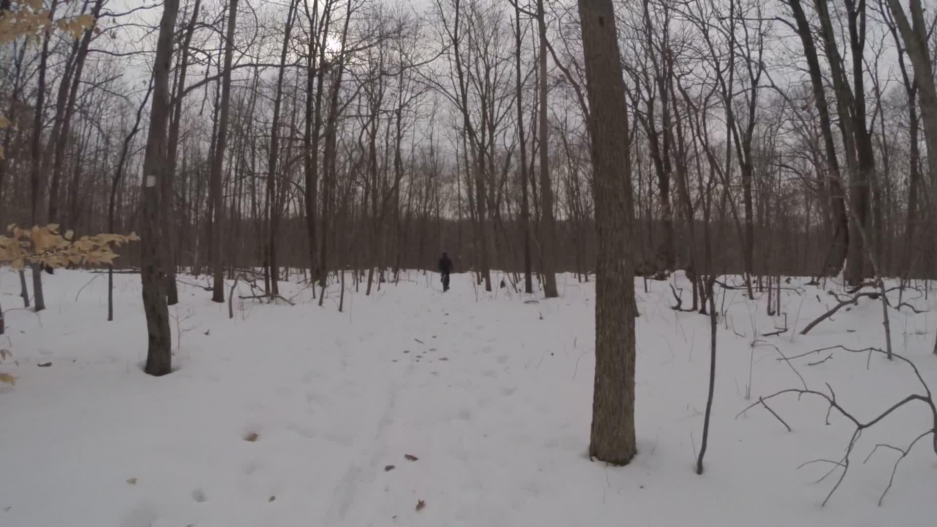 A snow-covered forest path with bare trees on either side, a single person walking away in the distance. The sky is overcast, giving the scene a calm, wintry atmosphere. Richmond Avenue and Forest Hill road mountain bike trail.