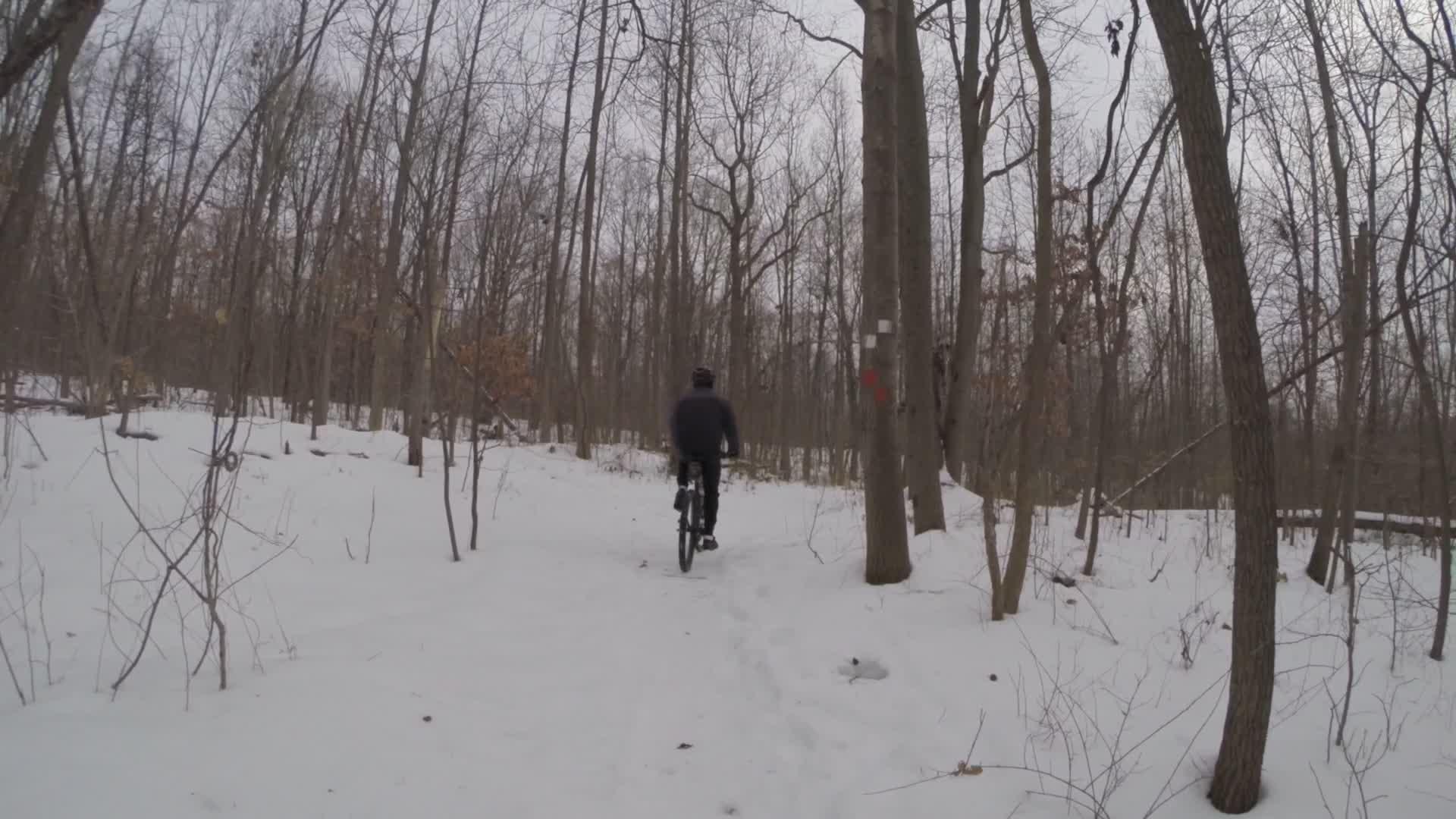 A person riding a mountain bike along a snow-covered trail in a wooded area. The trees are bare, indicating winter, and the landscape is serene with a blanket of snow on the ground. Richmond Avenue and Forest Hill road mountain bike trail.