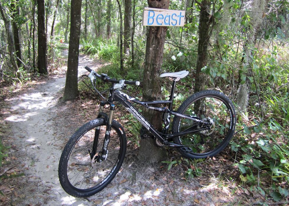 Gary Fisher HiFi Plus: A black mountain bike leaned against a tree in a wooded area, with a sign above the bike reading "Beast." The scene features a winding dirt path through lush green foliage and trees.