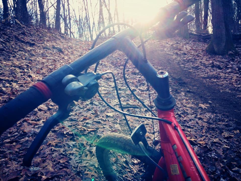 A close-up view of a mountain bike handlebar against a backdrop of a sunlit forest path, with scattered fallen leaves on the ground. The image captures the bike's controls and the foreground while sunlight filters through the trees in the background. Cannonsburg Ski Area mountain bike trail.