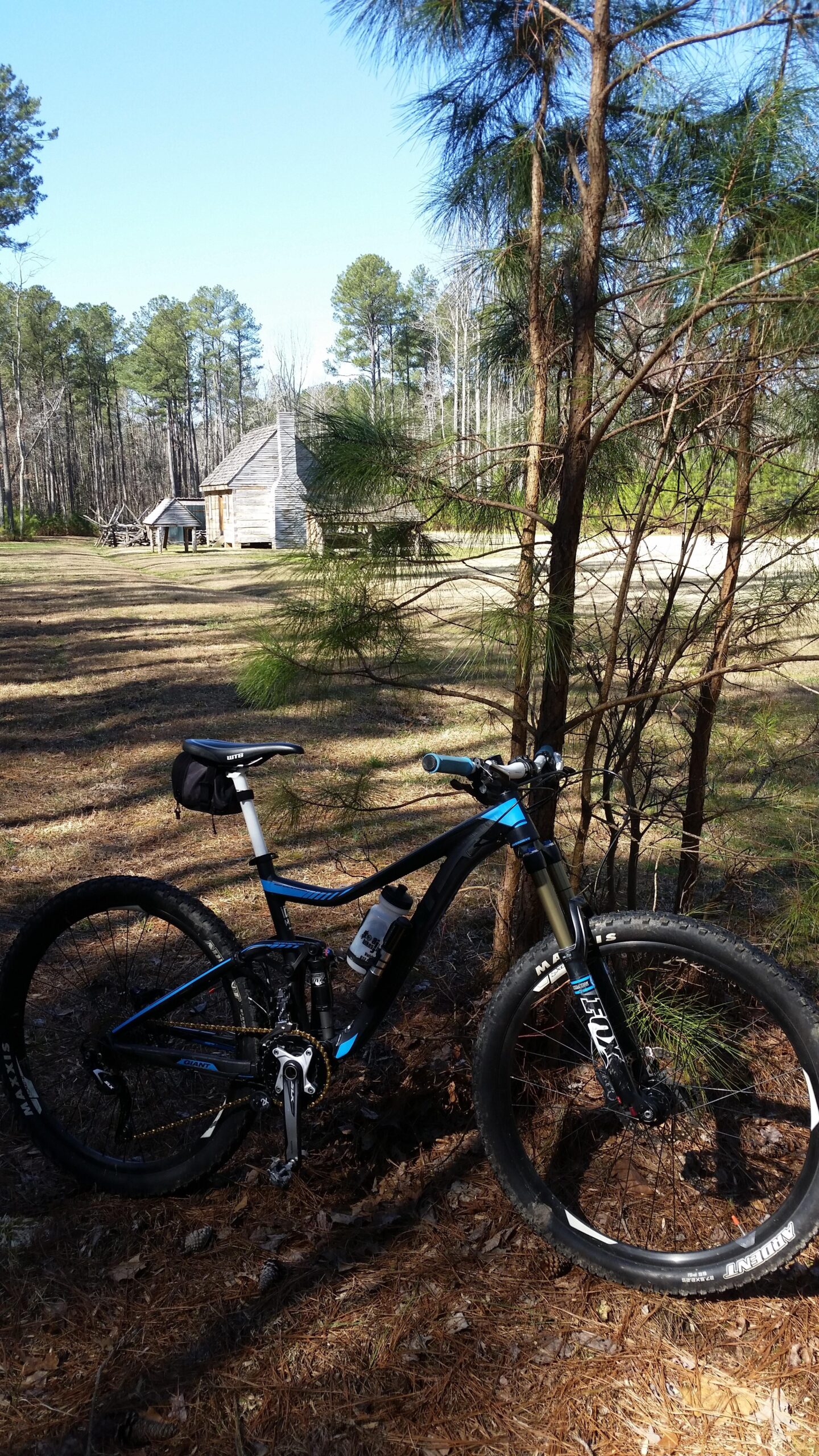 Motobecane NightTrain Bullet: A mountain bike leaning against a tree in a wooded area, with a rustic cabin structure visible in the background under clear blue skies. Pine trees surround the scene, and there are patches of sunlight illuminating the grassy ground.