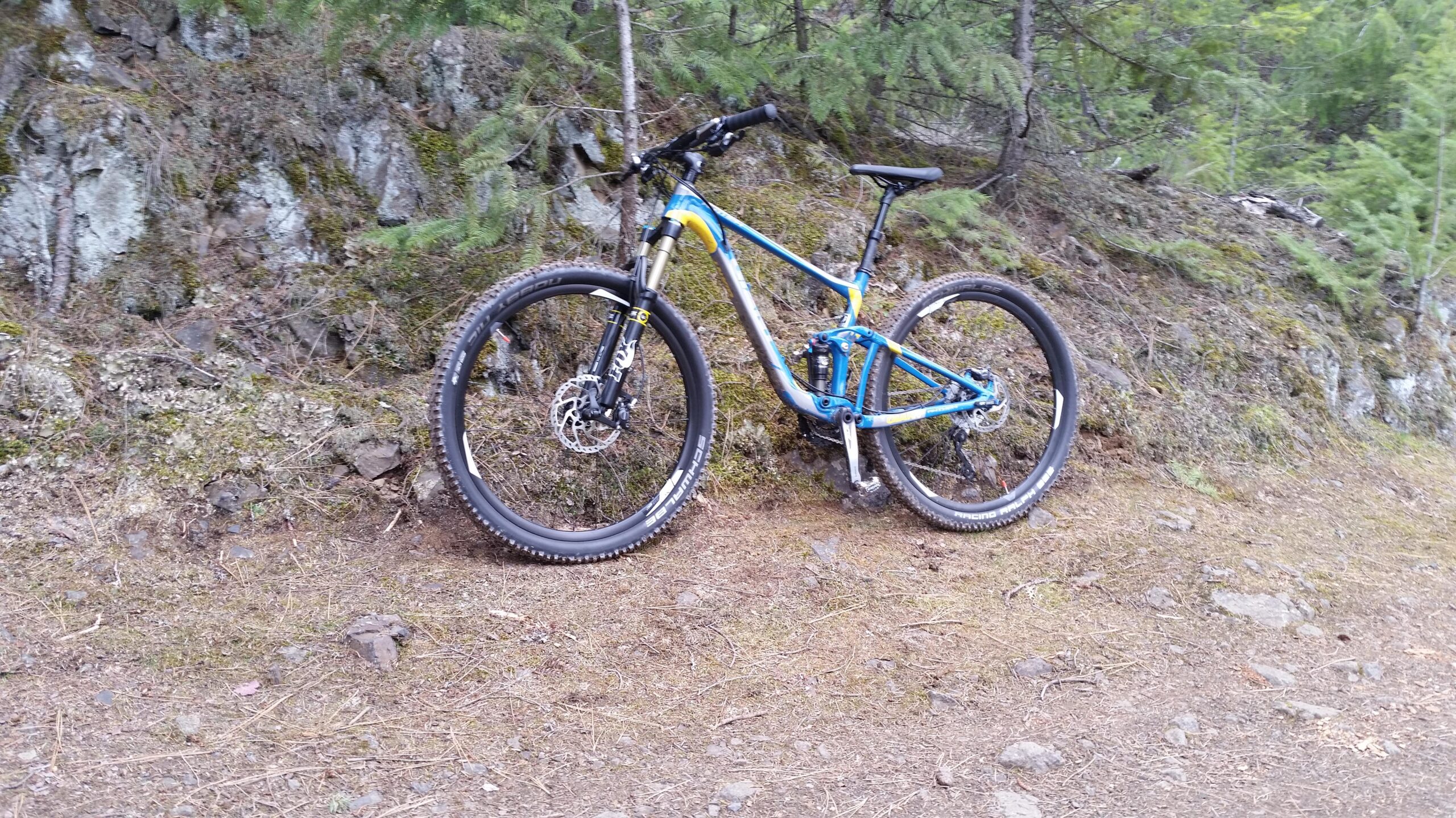 Giant Anthem SX 27.5: A blue and silver mountain bike resting against a rocky, moss-covered hillside, surrounded by pine trees and forest scenery. The bike features thick tires suitable for off-road trails.