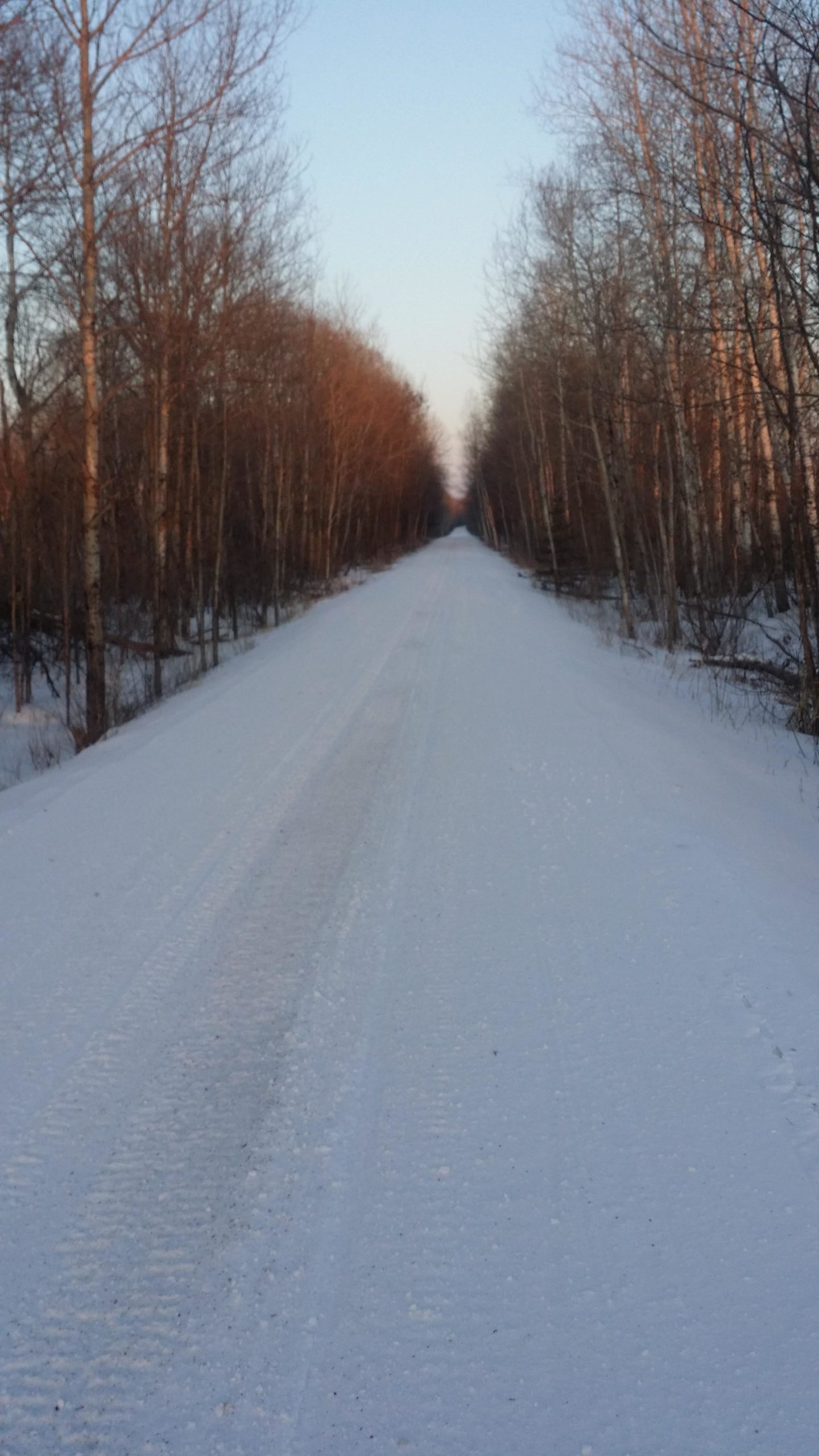 A snow-covered road flanked by bare trees, leading into the distance under a clear blue sky. The path shows tire tracks, indicating recent travel. The scene conveys a serene winter landscape. mountain bay trail mountain bike trail.